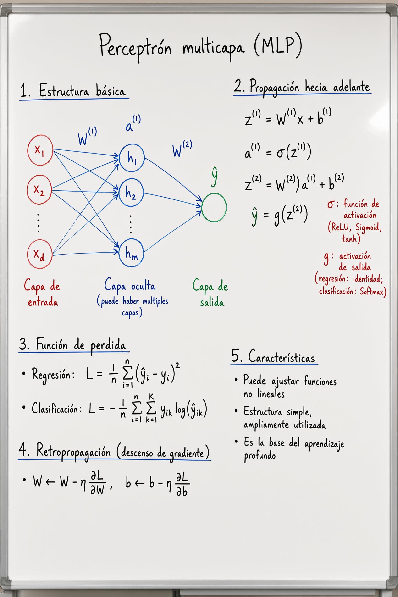 Handwritten notes explaining a multilayer perceptron with labeled diagrams and formulas.